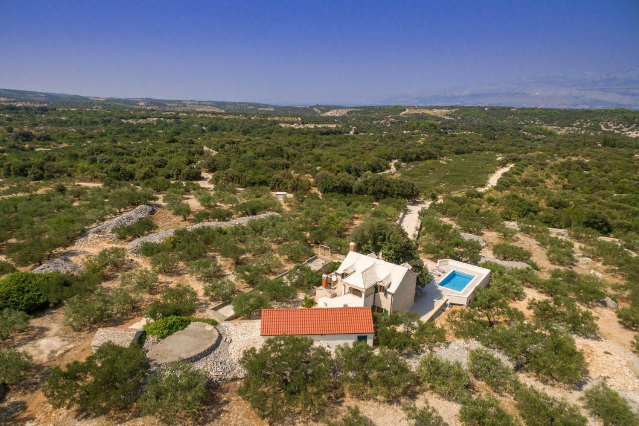 Villa Dubrava Tranquil Retreat Nestled In An Olive Grove For Serene Escapes Pucisca Luaran gambar