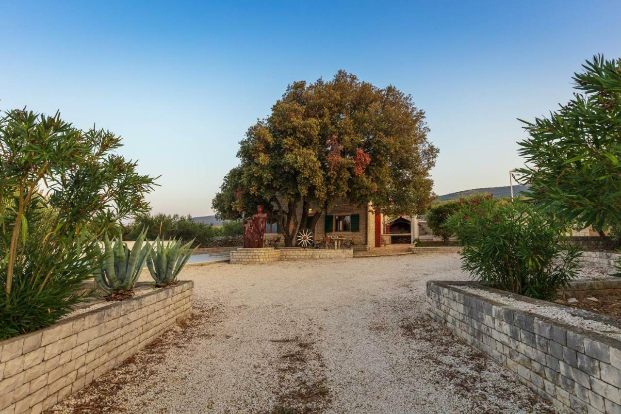 Villa Dubrava Tranquil Retreat Nestled In An Olive Grove For Serene Escapes Pucisca Luaran gambar