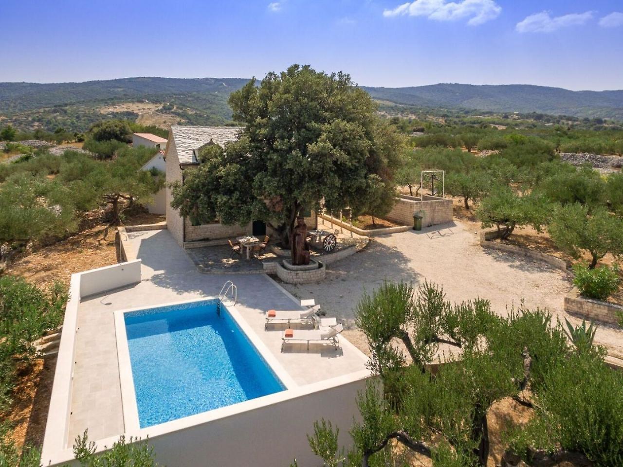 Villa Dubrava Tranquil Retreat Nestled In An Olive Grove For Serene Escapes Pucisca Luaran gambar