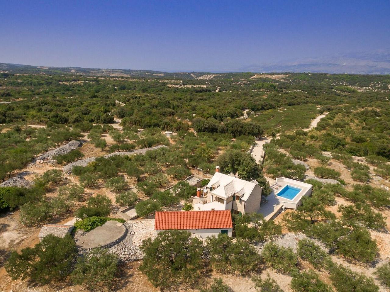 Villa Dubrava Tranquil Retreat Nestled In An Olive Grove For Serene Escapes Pucisca Luaran gambar